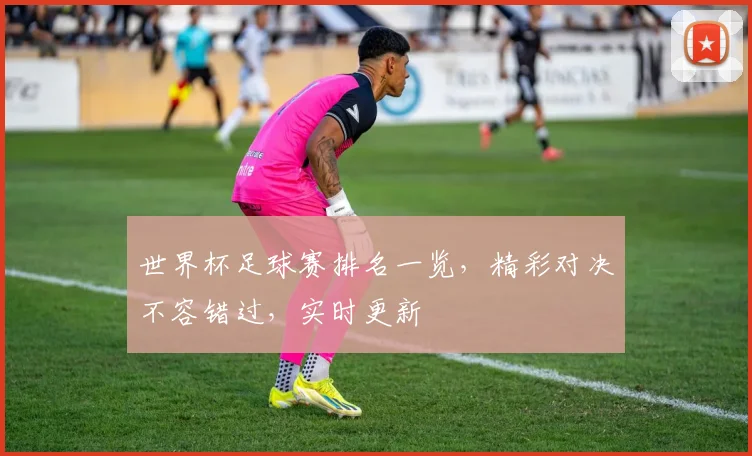 世界杯足球赛排名一览，精彩对决不容错过，实时更新