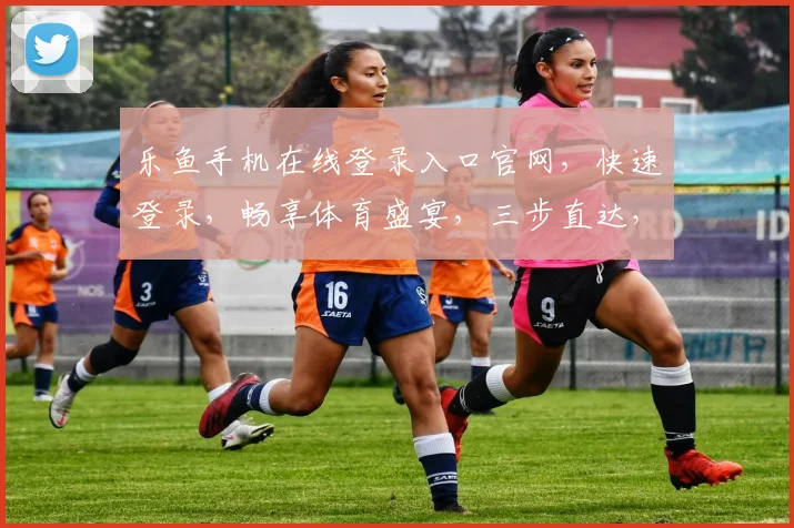 乐鱼手机在线登录入口官网，快速登录，畅享体育盛宴，三步直达，便捷体验，不容错过，尽在官网