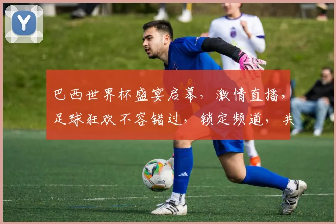 巴西世界杯盛宴启幕，激情直播，足球狂欢不容错过，锁定频道，共赏精彩瞬间